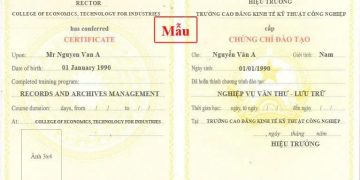 Tuyển sinh khoá học Văn thư lưu trữ & Thư viện – thiết bị trường học